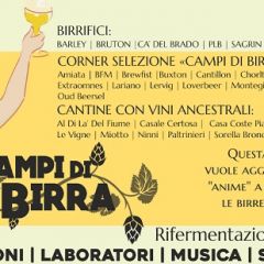 Campi di birra